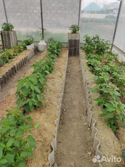 Грибные блоки.Субстрат.Мульча.Удобрение