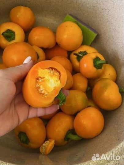 Перец-Помидор