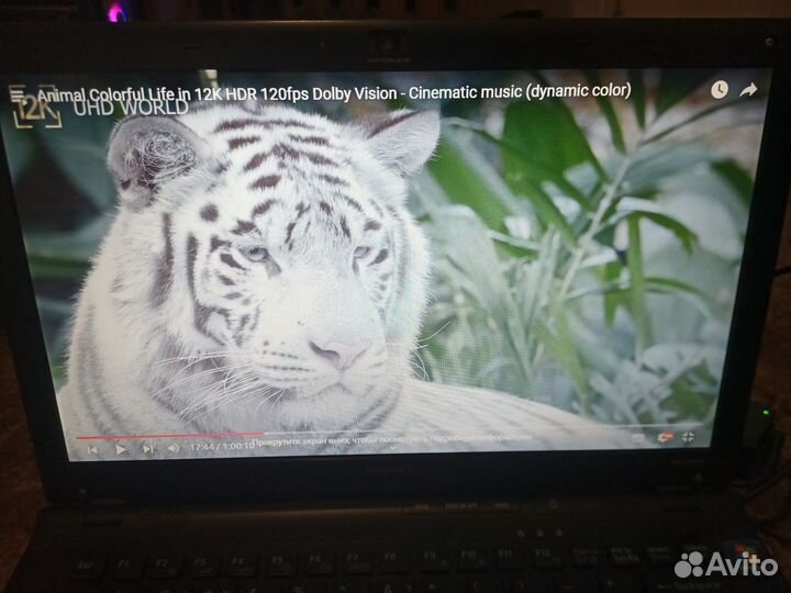 Ноутбук sony vaio