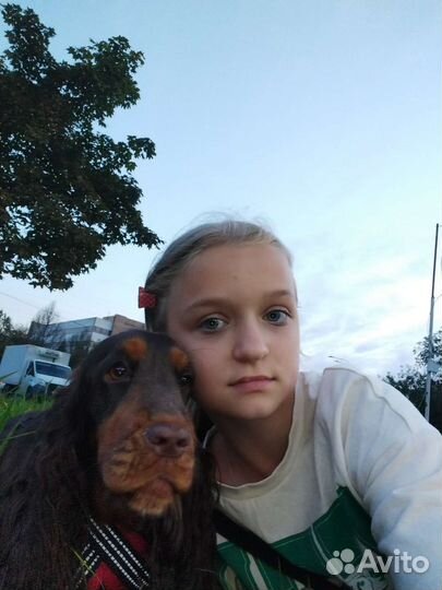 Выгул собак с 11 лет