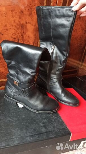 Сапоги женские