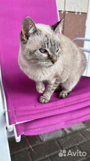 Варя из приюта ищет семью