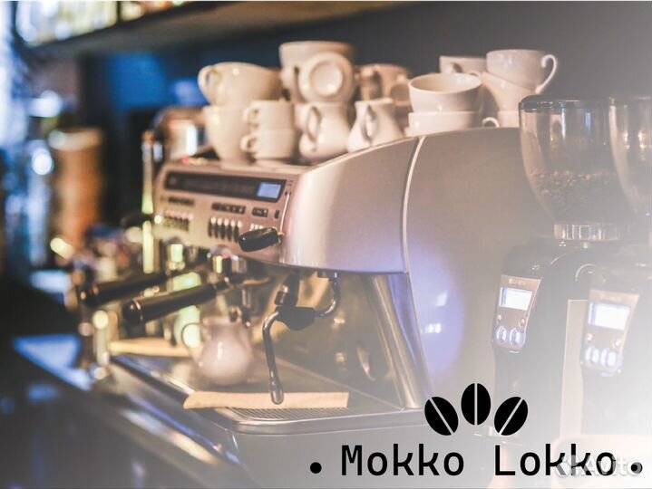 Mokko Lokko: Успех с первого дня