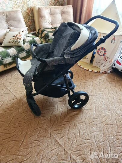 Коляска adamex reggio 2 в 1
