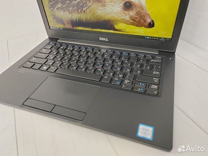 Dell Latitude 7280, i5-6300U, 8gb