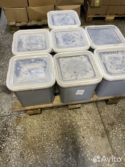 Гречишный мед оптом