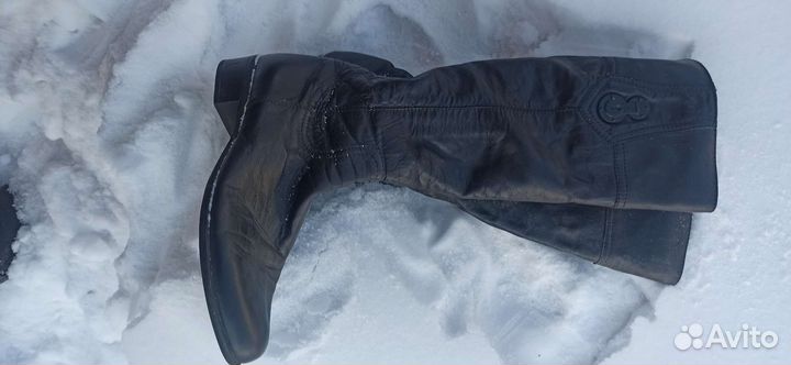 Сапоги демисезонные