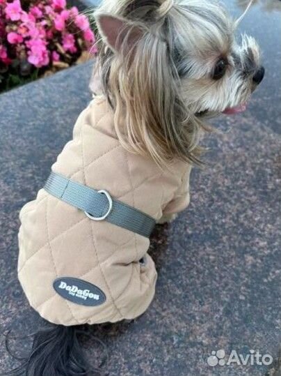 Комбинезон для маленькой собаки
