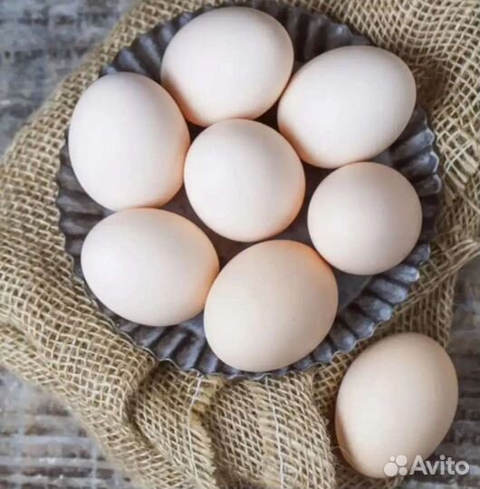 Домашние куриные яйца