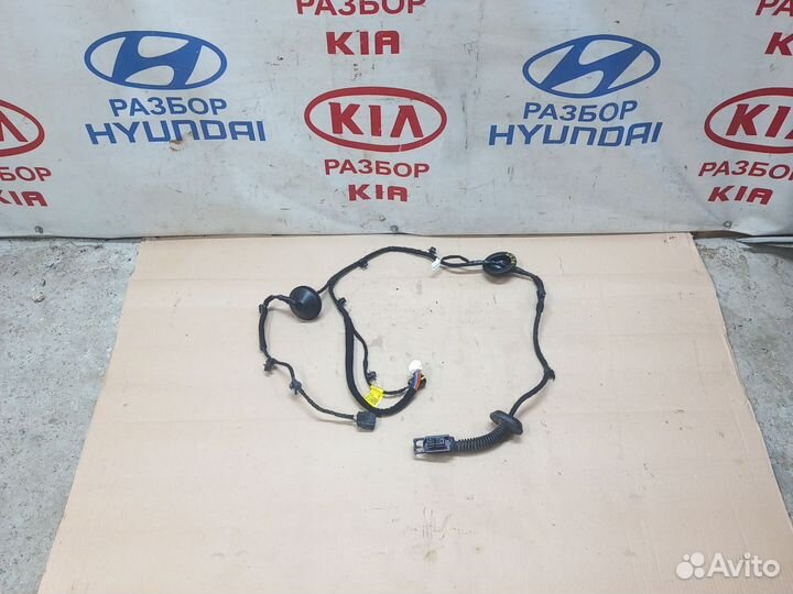 Проводка задней правой двери Kia K5 DL3