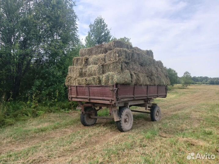 Сено в тюках(кипах),рулонах и мешках