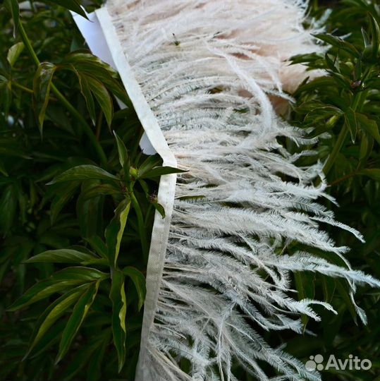 Тесьма с перьями страуса для отделки одежды декор