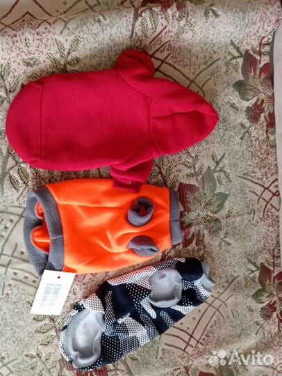 Кошачья одежда