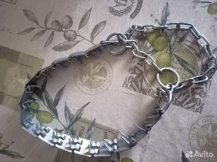 Строгий ошейник