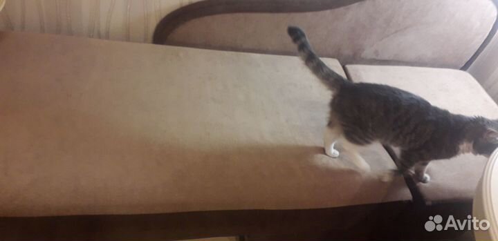 Продам раскладной диван-тахту