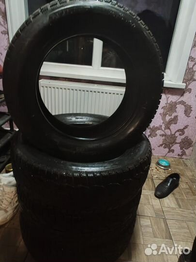 Tigar Winter 215/60 R17 96