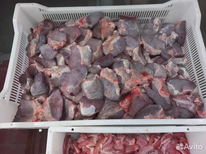 Мясо для собак