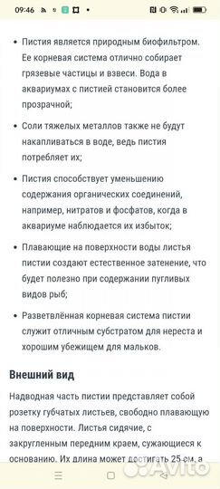 Растения пистия для аквариума
