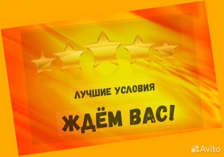 Жиловщик мяса Вахта с проживанием Аванс еженедельно