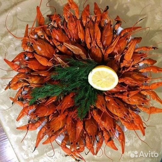 Живые раки Зеленоград