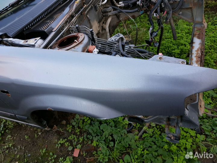 Иран Кходра Саманд Крылья