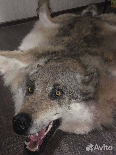 Шкура Волка