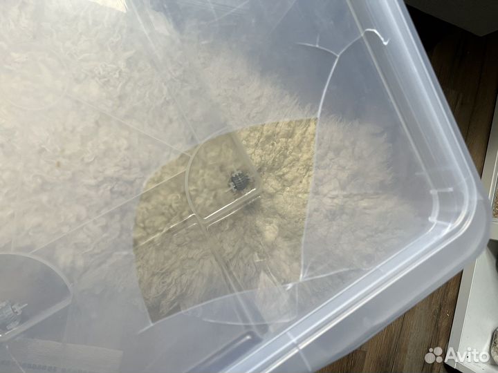 Контейнер 138л form большой