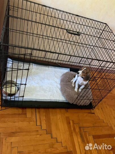 Комплект клетка для животных + миска + лежанка