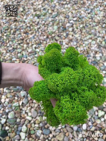 Стабилизированный ягель от производителя, Зелёное