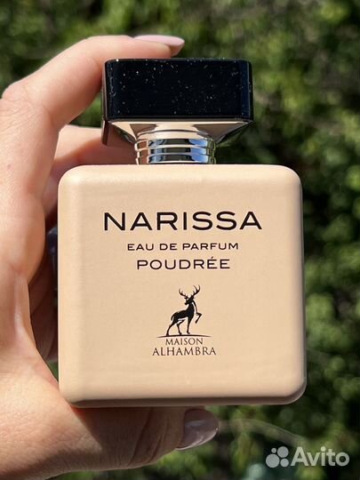 Narciso Rodriguez Narciso Poudree, Дубай
