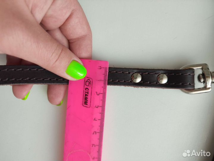 Разная амуниция для собак