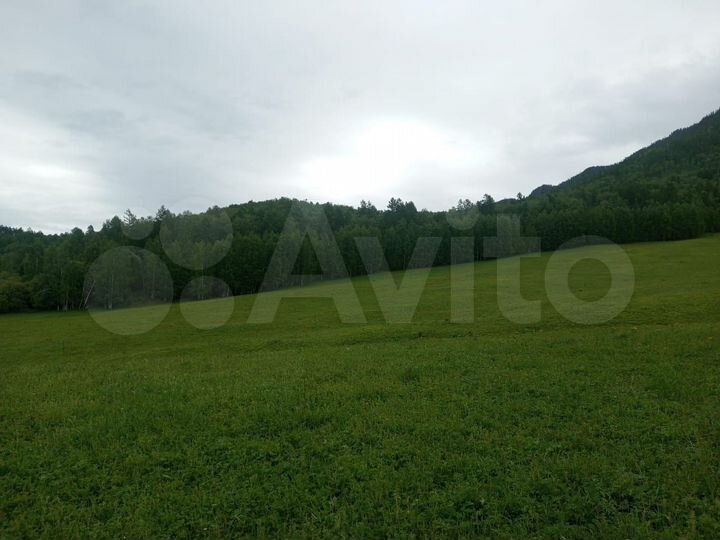 Участок 4,2 га (СНТ, ДНП)