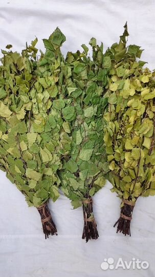 Веник березовый