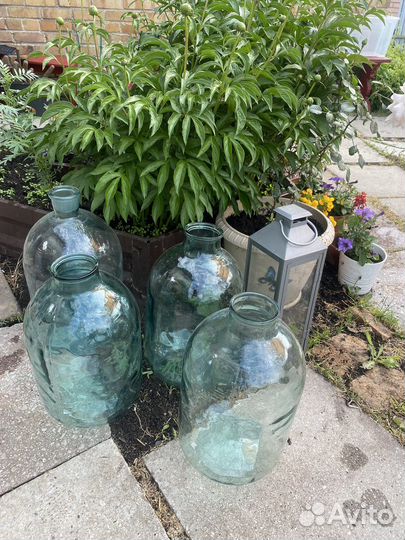 Старинные винные бутылки