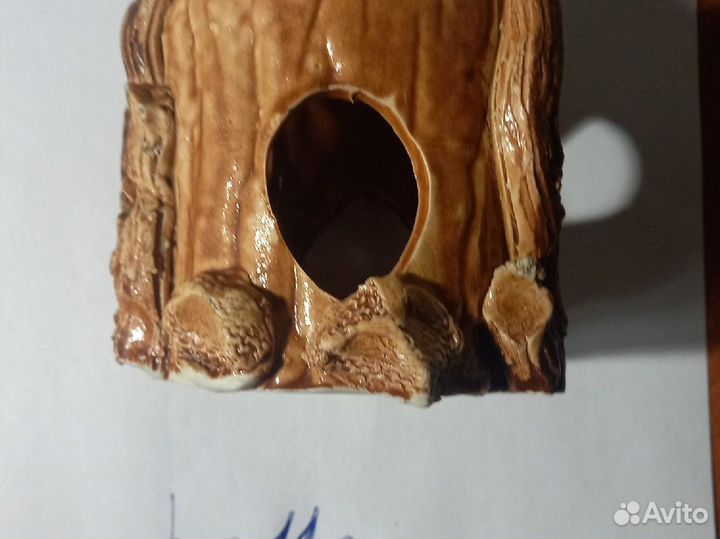 Меченосцы, моллинезии, пецилии