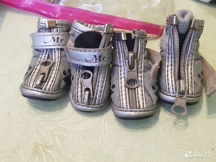 Ботинки для мелких пород собак