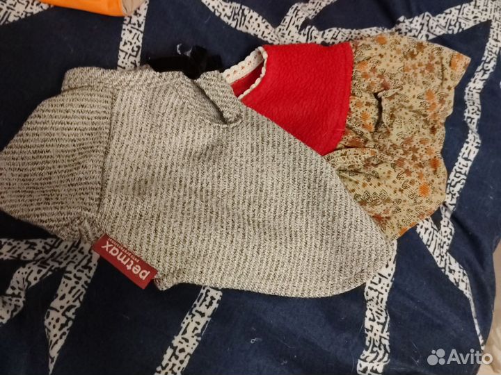 Одежда для маленьких собак пакетом