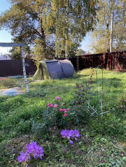 Участок 10,6 сот. (СНТ, ДНП)