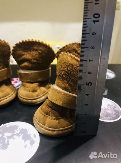 Ботинки для собаки