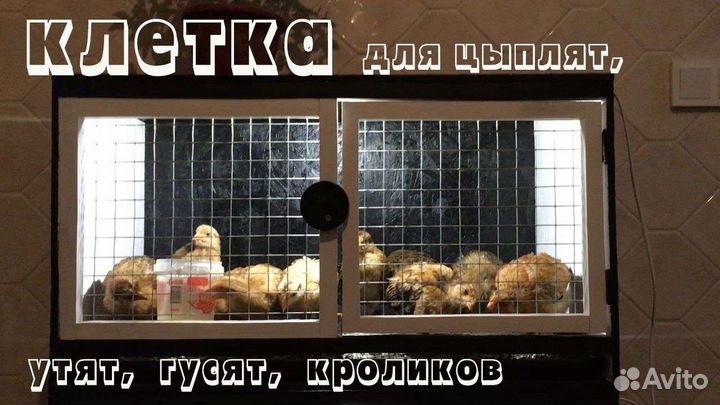 Брудер клетка для цыплят, утят, гусят, кроликов