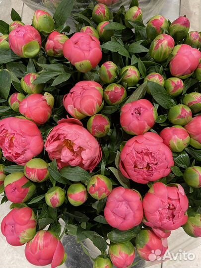 Цветы с доставкой