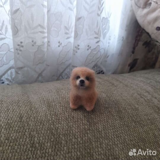 Миниатюрный шпиц