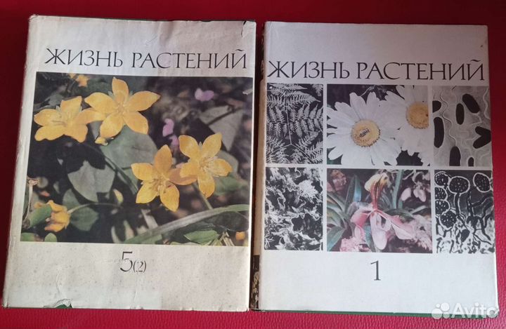 Жизнь растений