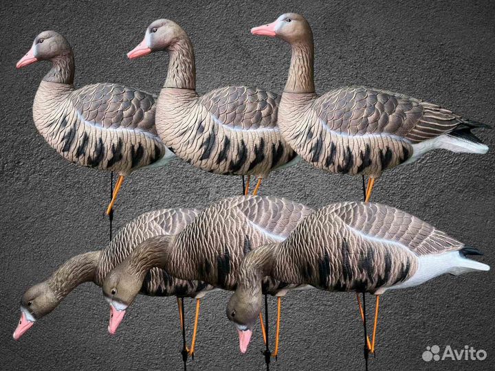 Чучела гусей белолобый Аvian-MIX 3D Oskar Decoys