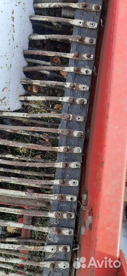 Копатель корнеплодов, 2017