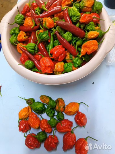 Перец острый 