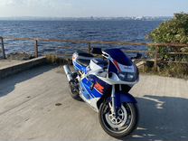 Живой редкий мотоцикл suzuki GSX-R 750