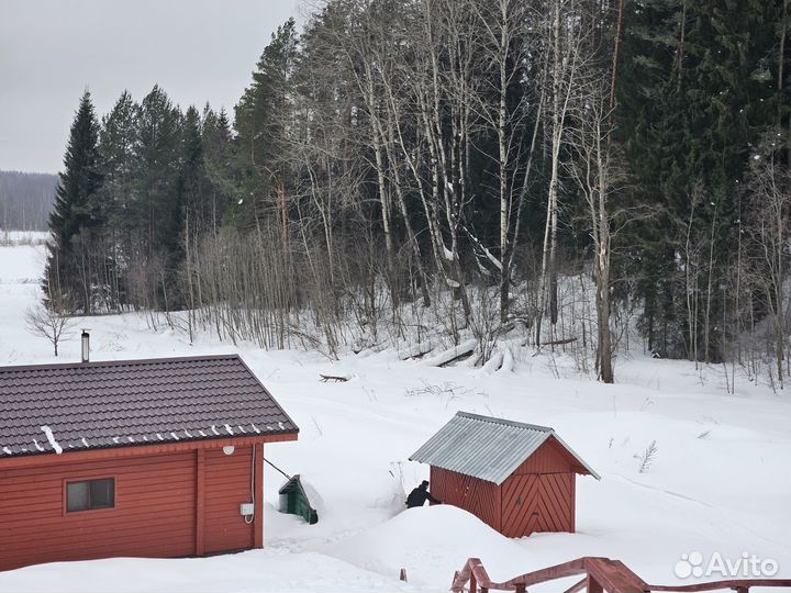 Продается действующее охотхозяйство