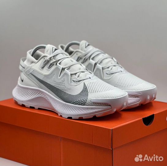 Кроссовки мужские Nike Pegasus Trail 2