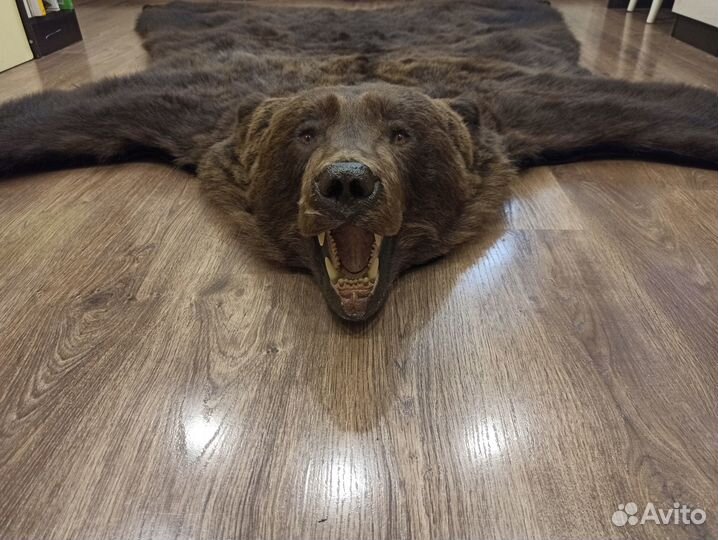 Ковер шкура